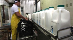 VENEZUELA--Garantizan-abastecimiento-de-leche
