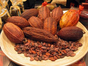 50-semilla-de-cacao-seca-para-exposicion-coleccion-raras-13390-MLM2998158317_082012-F