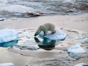 Lo scioglimento sempr più rapido dell'Artico minaccia tutto il pianeta