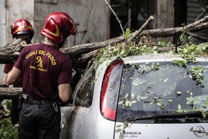 Vigili del fuoco a lavoro in via Monte Pertica dove per il maltempo un albero è caduto su di un auto in sosta. Roma 04 settembre 2015. ANSA/ANGELO CARCONI