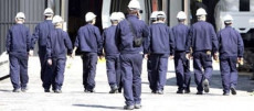 Un gruppo di metalmeccanici entra in fabbrica, visti di spalle. Jobs Act