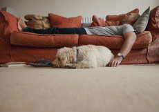 Un uomo disteso sul divano e sotto il suo cane accucciato. Sedentarietà