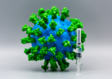 Un'immagine della molecola del Coronavirus.