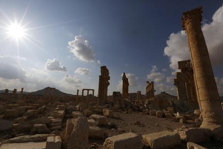 Rovine archeologiche del´anfiteatro romano nella cittá di Palmira, Siria.