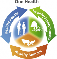 One Health, logo.